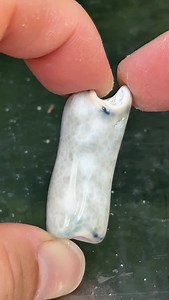 634K views · 200K reactions | What’s inside this Magical little Coral? 視✨ #crystals #rocks #geology #minerals #fossils #agate #quartz #coral #geode | CoralGeodes | Facebook