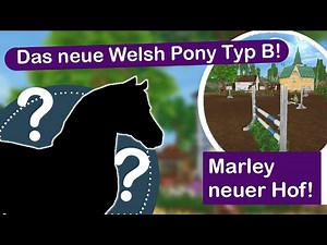Das neue Welsh Pony Typ B! Und der neue Hof von Marley!