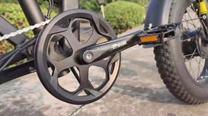 Bike Crankset for Ebike: 48T/52T Universal Bike Crankset Set Double Chain Cover 170mm Aluminium Alloy Arm for Single Speed and 6/7/8 Speeds Electric Bikes, Fat Tire Bike (Crank Removal Tool Included)