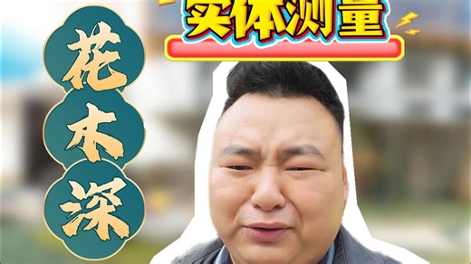 实体楼测量 汉阳花木深