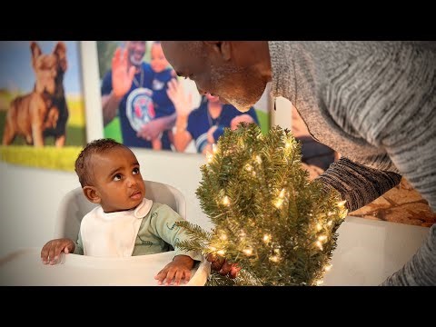 [$FREE.99] Letting the Dog Babies Put the Christmas Tree Up! 😂 | Life as Rosharon Frenchie Breeders