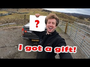 SCANNING SHEEP IN THE HIGHLANDS OF SCOTLAND