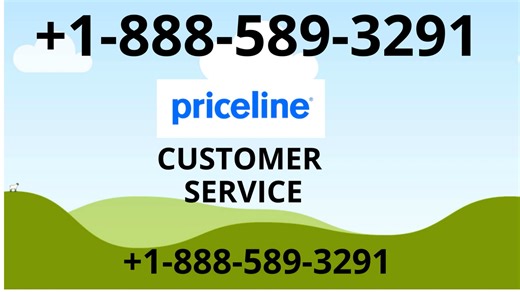 Priceline® Customer Service Complete Guide = Step-by-Step Help & Support 24/7 Priceline
