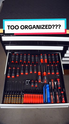 I was really surprised with how these screwdriver organizers turned out, because my old screwdriver holder is actually made for this set. However, they're more organized than before. Not to mention that the picks looked pretty packed in the blow molded case, until I took them out. But the biggest surprise was that they fit the snap ring pliers. 😱 @ToolBox Widget