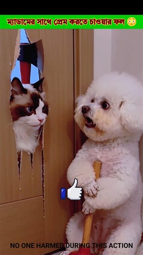 The consequences of wanting to make love to Madam 😳