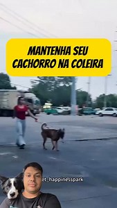 “Não é liberdade. É falta de controle.” Cão andando solto não é bonito, não é amor e não é “porque ele é bonzinho”. É risco. Pra ele, pros outros cães e pras pessoas. Cão de grande porte sem guia é perigo óbvio. Cão pequeno solto também. A diferença é que um machuca mais rápido — o outro cria confusão, acidente e trauma do mesmo jeito. Quando a guia escapa ou nunca existiu, o problema não começa ali. Ele vem de antes: falta de manejo, limite e responsabilidade. O ataque não surge do nada. Ele é