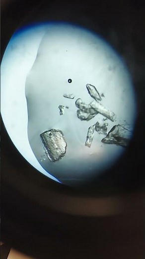 Visualization of Old Single Crystals of Tetraphenylene in Optical Microscope #microscope #science