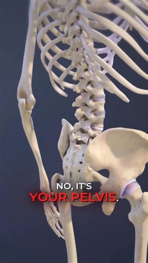 15K views · 203 reactions | 勞 Lift your belly and your face lifts with it But yet why doesn't lower back go away?⚡️Stress, tension, holding everything together for years push the belly forward. ⚠️ When a woman loses inner support, the body starts to compensate — everywhere. | Thelolpodcast | Facebook