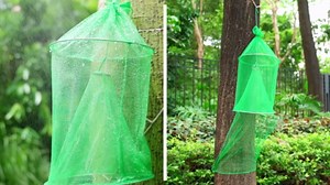 Qualirey 4 Pack Spotted Lanternfly Traps Lantern Fly Killer Mesh Tree Trap with Jute Rope and Nails Effective Way to Catch Lantern Flies and Nymphs (Yellow)