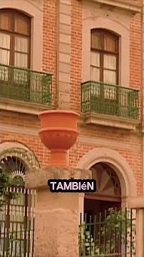 Cuando quedas 🤡 por creída 🤭 #amorreal #tlnovelas