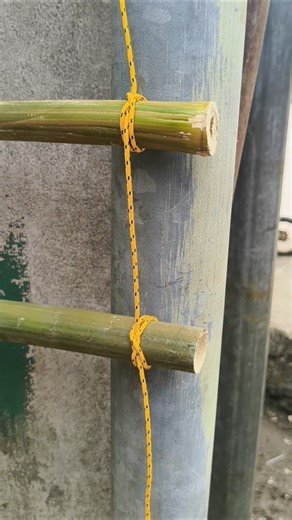 A genius rope Knot for installing ladder #shorts #diy #survival