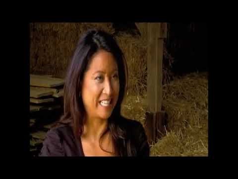 The Cornbread Mafia of Kentucky