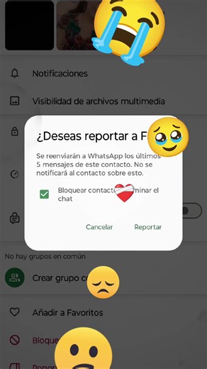 Cómo manejar reportes en WhatsApp: Guía completa