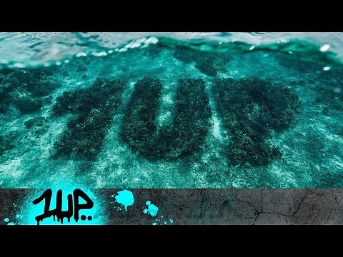 1UP - CORAL REEF