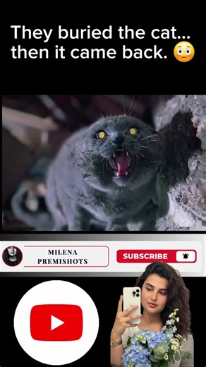 This Cat Came Back… But It Wasn’t the Same 😨 | Pet Sematary