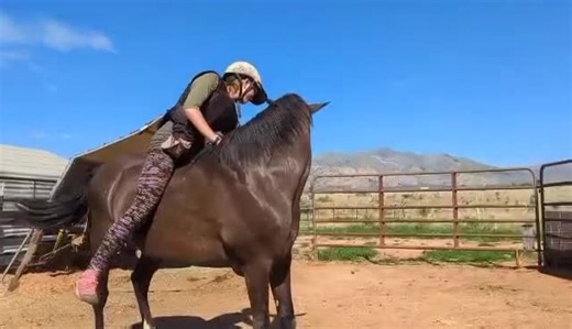 We are absolutely blown away 😭✨💕⁣ ⁣ Imagine gentling a completely wild mustang using compassionate, ethical methods… and within a year, your first rides look like this ♥️⁣ ⁣ This video was shared in the HCA online community today, and we are deeply moved by what Jason had to say about his 16 year old daughter, Alyssa, and her mustang: ⁣ ⁣ “I have so much love and respect for these two amazing souls!⁣ ⁣ They've come such a long way in a rather short period of time.⁣ ⁣ Willow was a WILD Mustang 