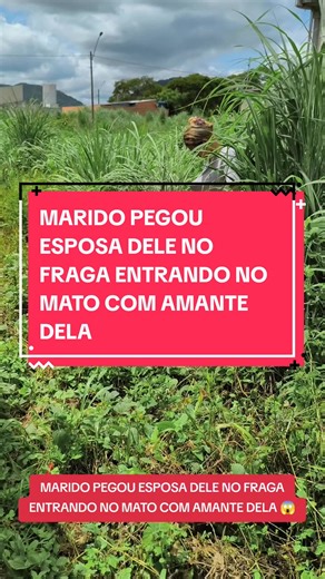 Marido Flagra Esposa com Amante em Ação Surpreendente