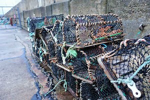 Low Impact Fishing Project | Commercial Fishing News
