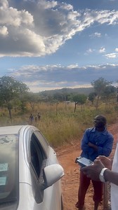 Nhasi ndaswera kumusha kwenyu acturus inga kwakanaka #rurallife | Mu Gove