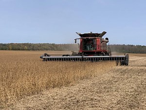 Soybean School: How soil test P and K levels impact yield