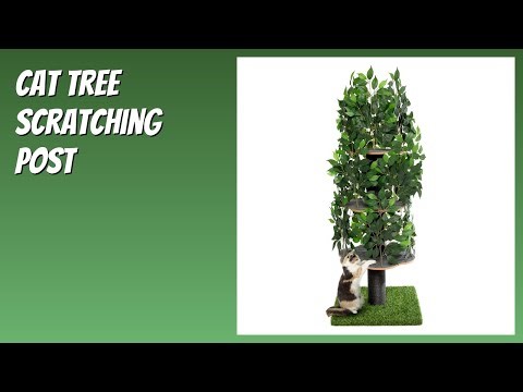 REVIEW (2025): Cat Tree Scratching Post. Features