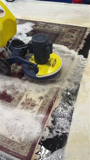 How professional carpet cleaners actually get results #cleaning #satisfying #diy