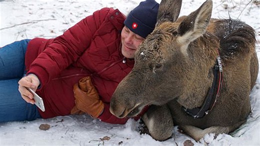 Animals teach humans that love makes life worth living