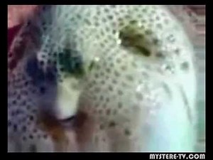 Mysterious creature with a human head