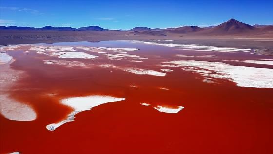 Laguna Colorada's Splendor: A Drone Journey Above Bolivia - Worldwide