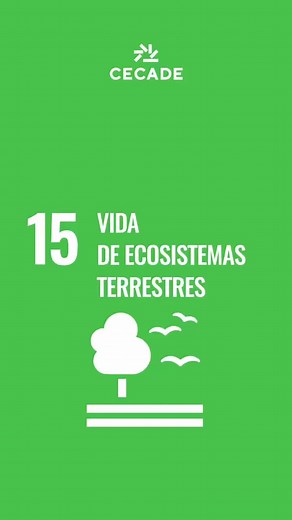 ODS 15: Vida de Ecosistemas Terrestres y Biodiversidad