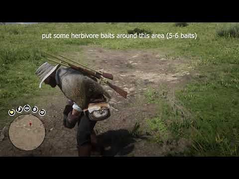 Red Dead Redemption 2 (rdr2) perfect moose pelt location / hunting guide