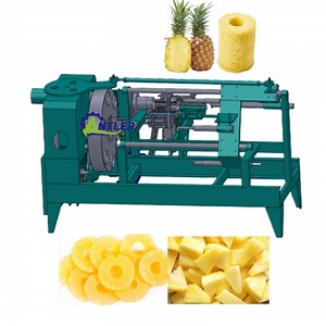 [Hot Item] Automatic Canned Pineapple Slices Processing Machine Pineapple Peeling Cutting Machine