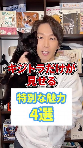 キジトラ猫だけの魅力4選#猫 #キジトラ #ねこ