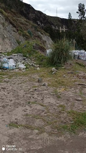 📜 Leyenda de la Cueva del Luterano – Guamote, Chimborazo 🇪🇨 Hace unos 440 años, entre 1571 y 1575, llegó a estas tierras un hombre extranjero: Sibelius Luther, médico de origen húngaro o alemán, de unos 40 años, cabello y barba blanca, siempre acompañado de un caballo negro de ojos rojizos y un perro fiel. Se instaló en una cueva cercana a Guamote, frente al Puente Negro, lugar que hoy lleva su nombre: la Cueva del Luterano. Era diferente a todos: recolectaba plantas, flores e insectos, los g
