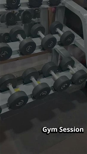 Day 4. MIT math, CS50 sets, and the gym. The work continues