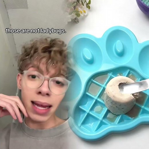 just look up what a asian lady beetle is 😭