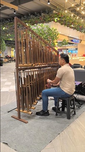 马来西亚常见的文化表演之一：Angklung 竹乐器，声音清脆又好听 #musicalinstrument #naturalmusic #performance #musiclovers