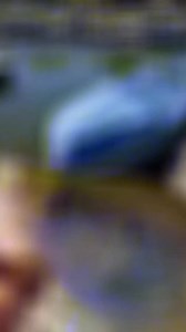 1.5K views · 47 reactions | Dock fishing Crappies at Mosquito Lake #fishtok #crappie #fyp #fishing | Cast Cray Outdoors | Facebook