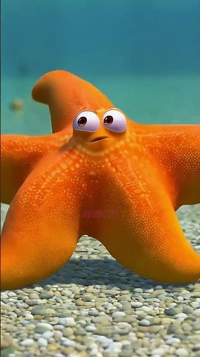 Meet 3D Ocean Friends - Sea Snail, Starfish & Stingray | Fun Sea Animals for Kids