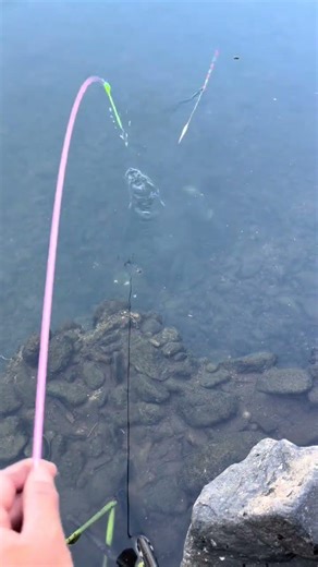 Touch and Catch: The Unseen Hand Trick