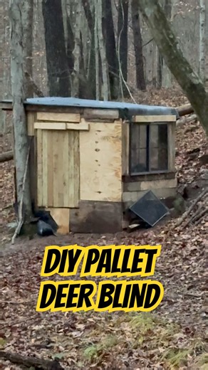 DIY Deer Blind Made From Pallets! #hunting #deerhunting #outdoors