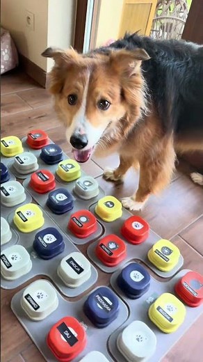 Hello fun!