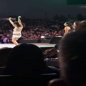 BRINCOS DIERAS HOUSTON TEXAS 3 | Paço dos Duques