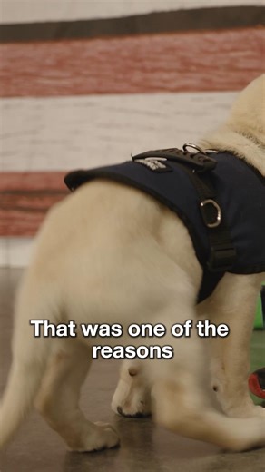 4.3K views | After returning home, many Veterans carry wounds both visible and invisible. Some may struggle to walk or stand without help, while others may feel trapped in their own homes after undergoing years of emotional trauma, enduring sleepless nights. With your support, we can change their futures together. Please, help Patriot PAWS provide Service Dogs to Veterans in need—donate today! | Patriot PAWS Service Dogs | Facebook