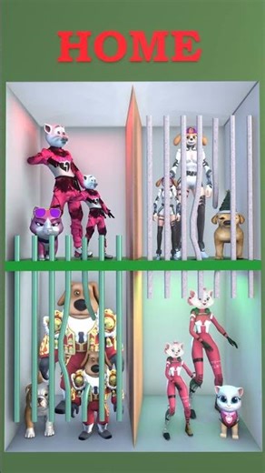 LET'S DANCE! LET'S DANCE TOGETHER!#dog #cat #funny #shots