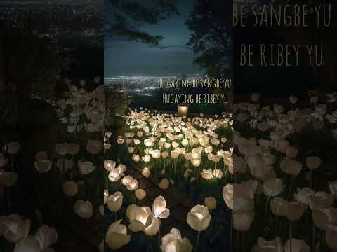 Hopin by Tai Mary //Nyishi song// 2014