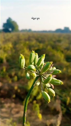 ખેડૂત પુત્ર 😍