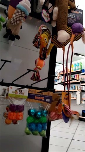 Entrando na loja - Animatrix Pet (Nov25)