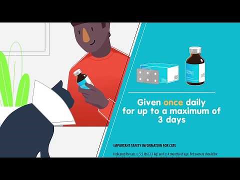 Onsior® (robenacoxib)