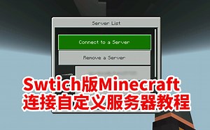 【我的世界】Switch版MC连接自定服务器教程